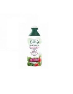 l'angelica-shampooing-anti-pelliculaire-sauge-et-genevrier-rouge-0%sulfate-0%parabene-poils-sujets-aux-pellicules-250ml-image-1