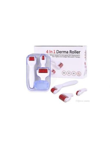 derma-roller-system-avec-des-aiguilles-de-titanium-4-in-1-image-1